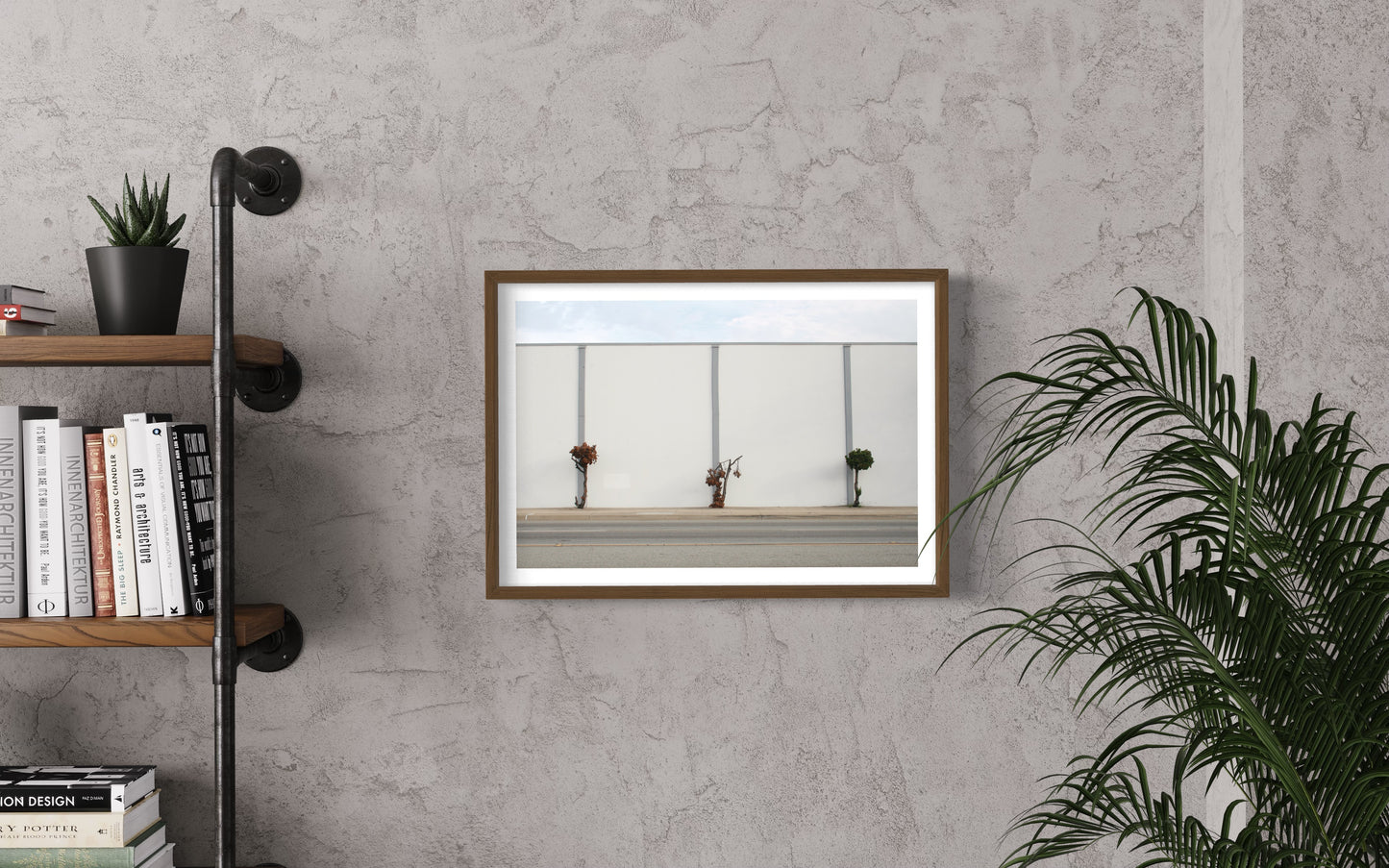 Angeles National Forest